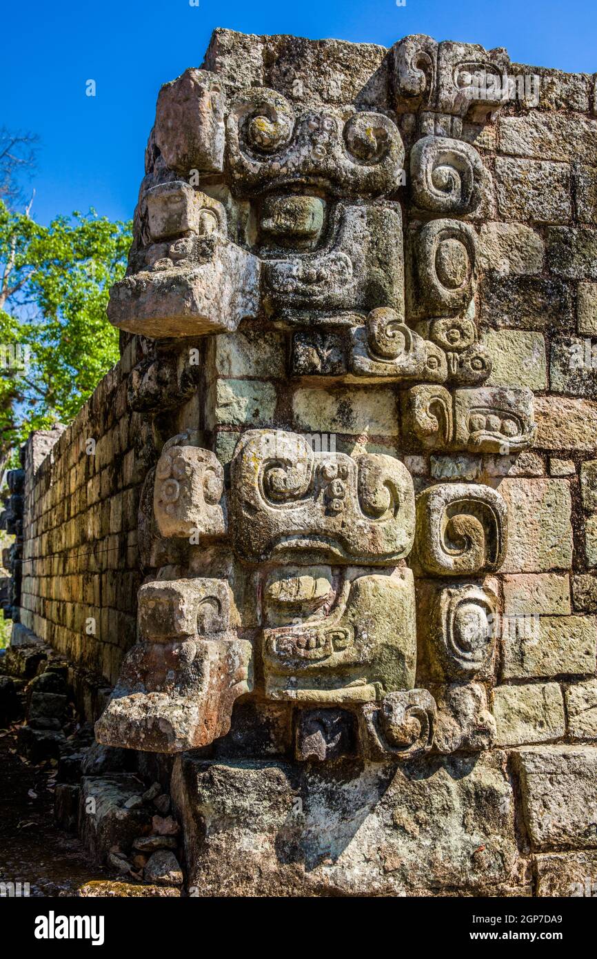 Mountain God Joke, Glyphs e maschere al Tempio della meditazione, East Plaza con struttura 22, rovine Copan, Honduras Foto Stock