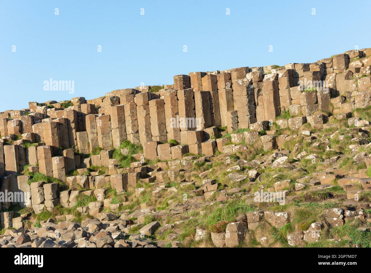 Colonne di basalto, il Selciato del gigante, Causeway Coast, vicino a Bushmills, County Antrim, Irlanda del Nord, Regno Unito Foto Stock