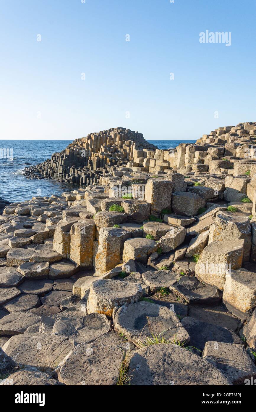 Colonne di basalto, il Selciato del gigante, Causeway Coast, vicino a Bushmills, County Antrim, Irlanda del Nord, Regno Unito Foto Stock