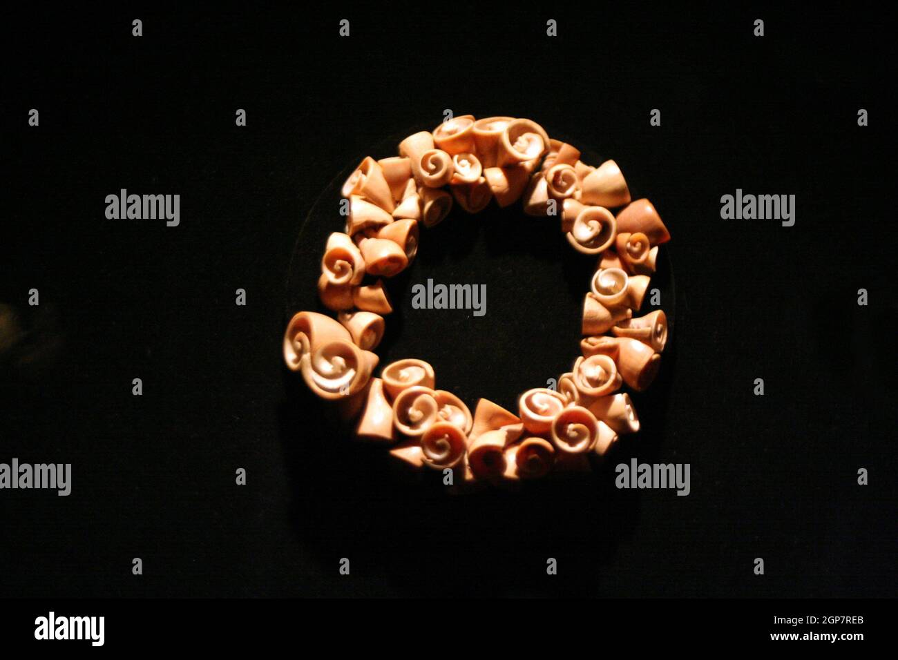 Collana di conchiglie al Museo di Arte precolombiana, Cusco, Perù Foto Stock