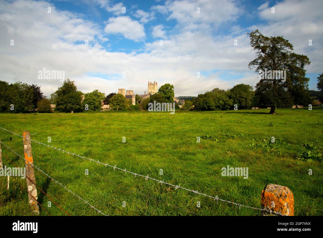 Il Palazzo Vescovile e la Cattedrale nella Città di Wells dai campi del Vescovo. Foto Stock