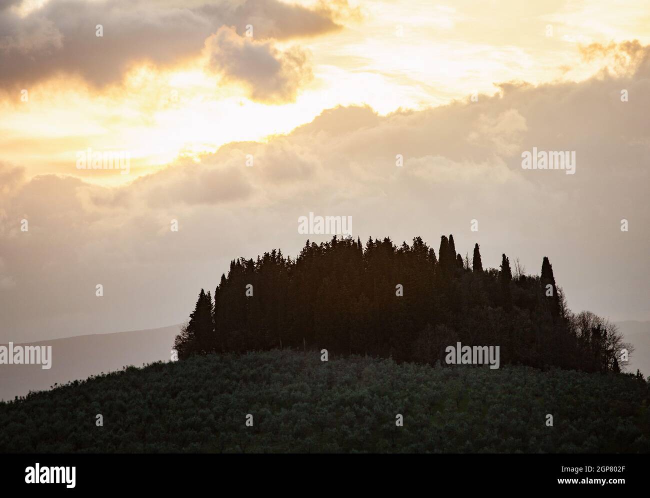Paesaggio toscano con i cipressi e il sole al tramonto. Regione Toscana in Italia. Foto Stock