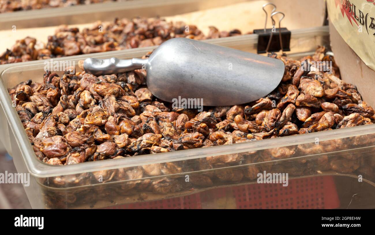Cozze essiccato per la vendita al mercato di China Town, New York. Foto Stock