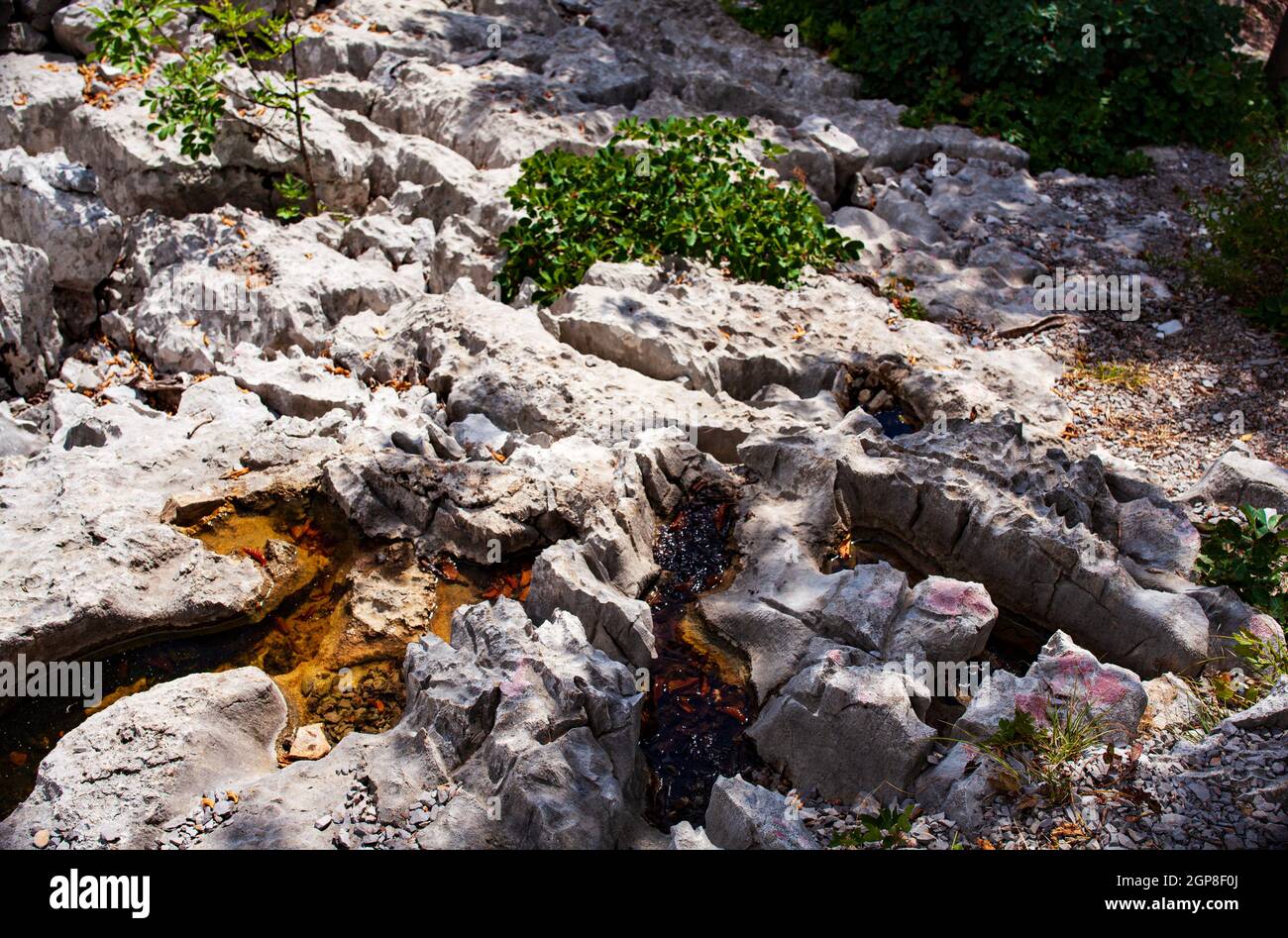 Veduta della roccia carsica in Friuli Venezia Giulia Foto Stock
