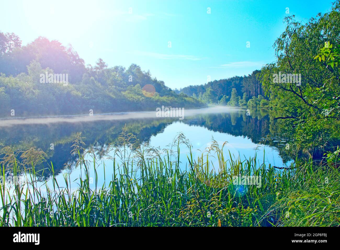Alba mattina sul fiume. Meraviglioso paesaggio estivo. Il fiume è coperto di nebbia all'alba. La foresta si riflette nel fiume in estate Foto Stock