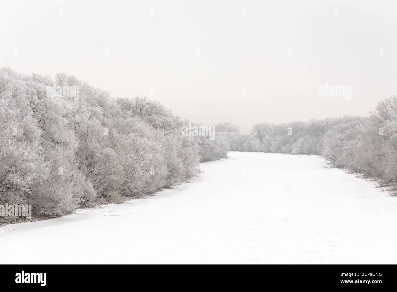 Fiume Oka ricoperto di ghiaccio e alberi in ghiaccio Foto Stock