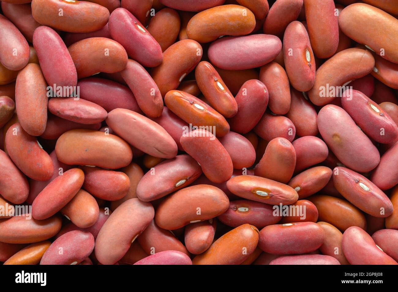 Mucchio di Red Kidney Beans background Texture. Foto Stock