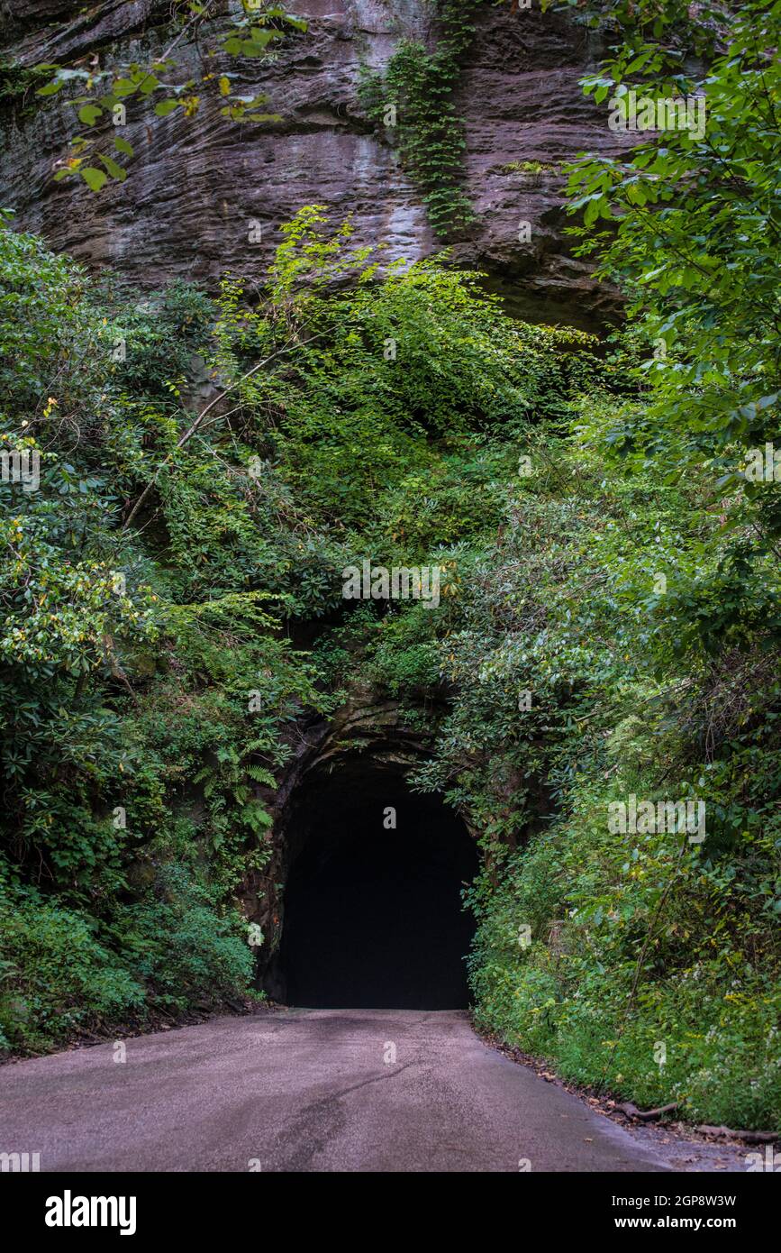 Nada Tunnel - Red River Gorge - Kentucky Foto Stock