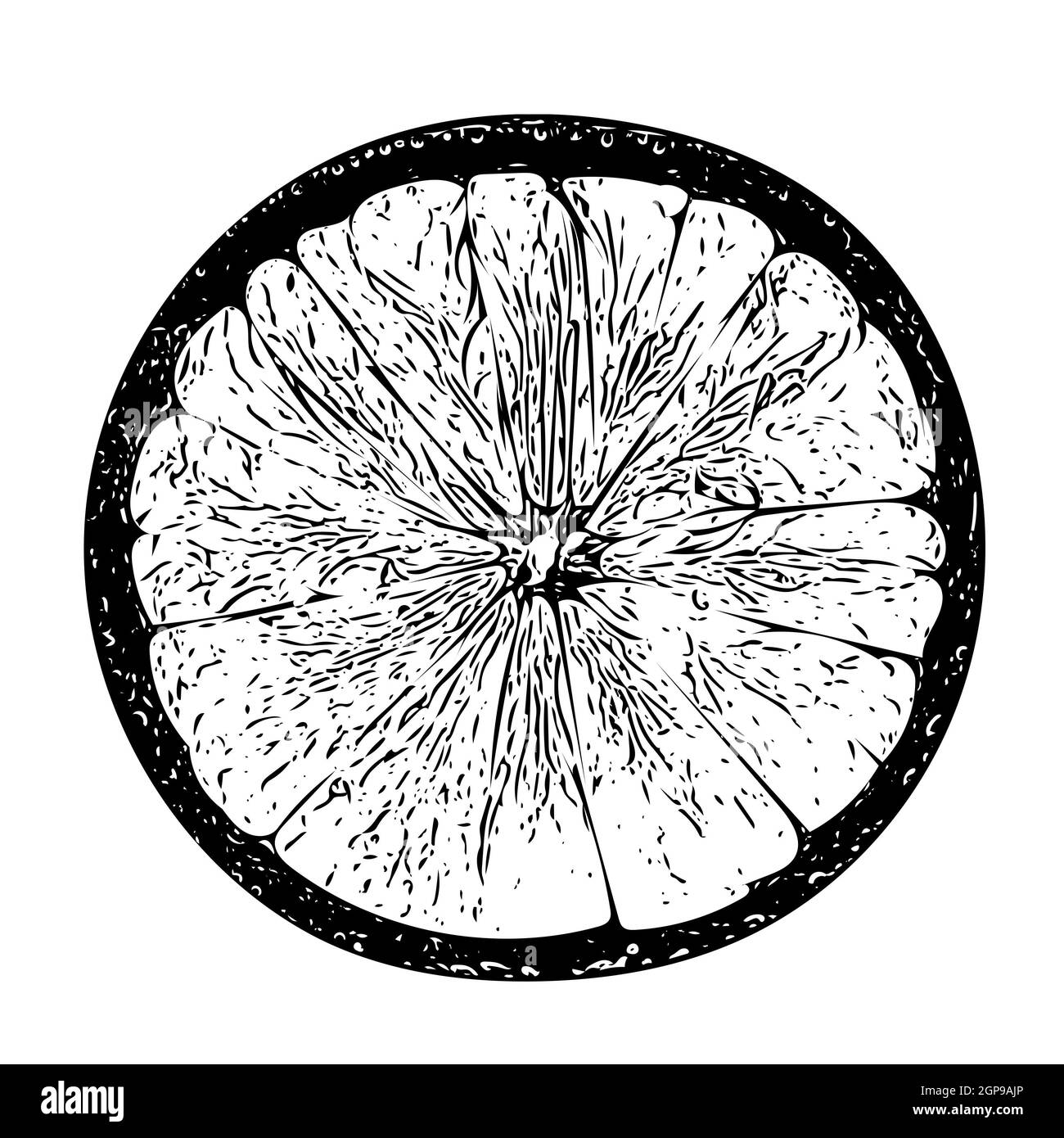 Concetto minimo. Una fetta rotonda di frutta al limone. Frutti di colore nero su sfondo bianco. Elemento di progettazione. Profondità di campo completa. Foto Stock