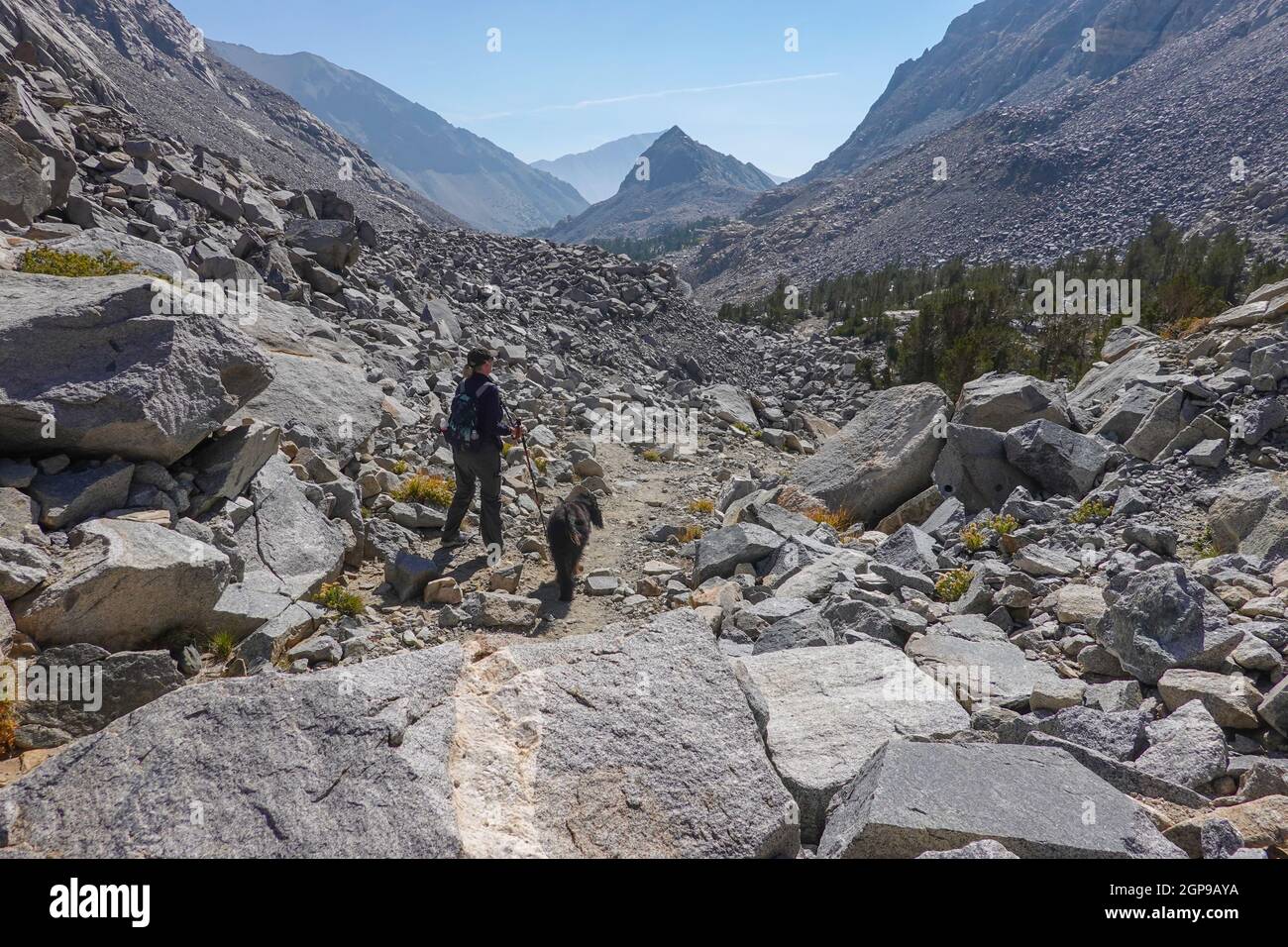 Donna che fa un'escursione sul sentiero di montagna Morgan Pass con un cane (gordon Setter) nelle montagne della Sierra Nevada, California, USA Foto Stock