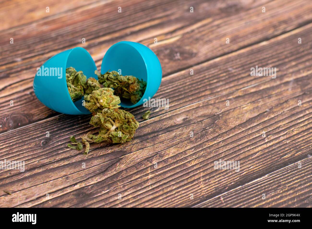 Un uovo di Pasqua di plastica blu con Nugs di Cannabis verde chiaro che  esce da esso su un tavolo di legno Foto stock - Alamy