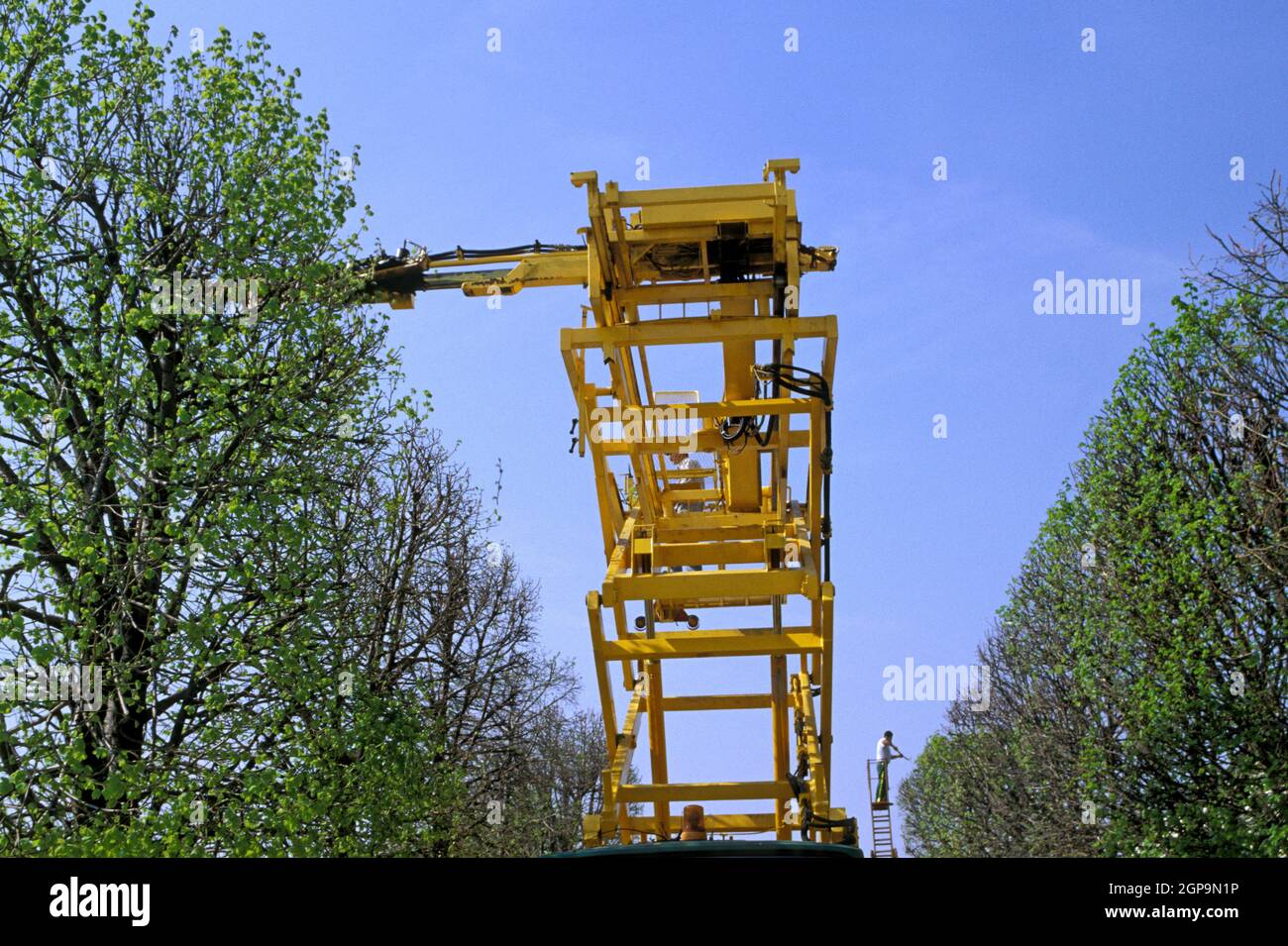 Macchinari per rifilatura di alberi. Foto Stock