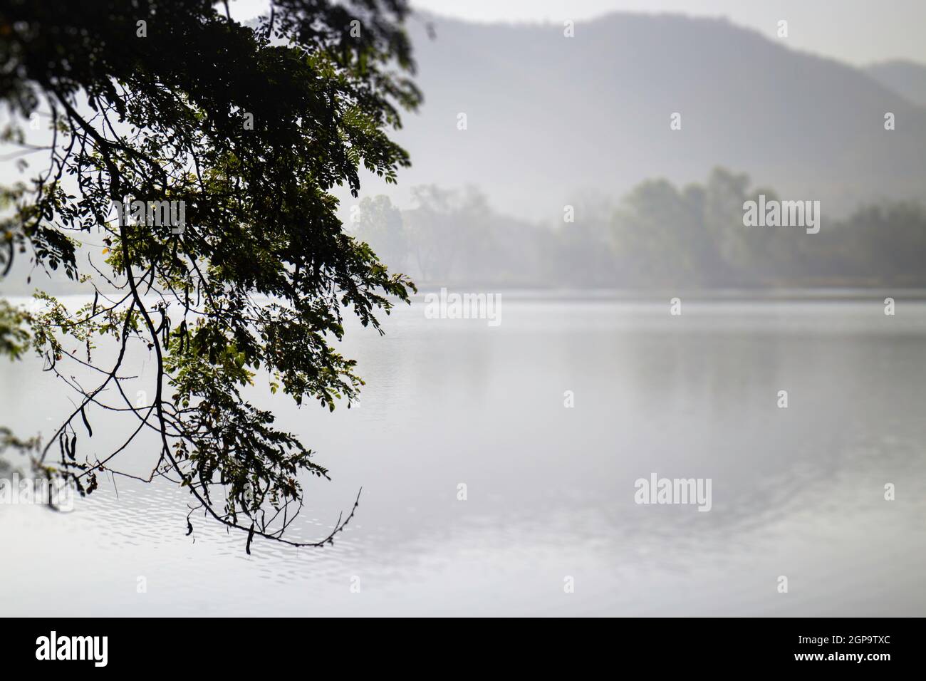 Lago ghiacciato all'alba, foto d'inventario Foto Stock