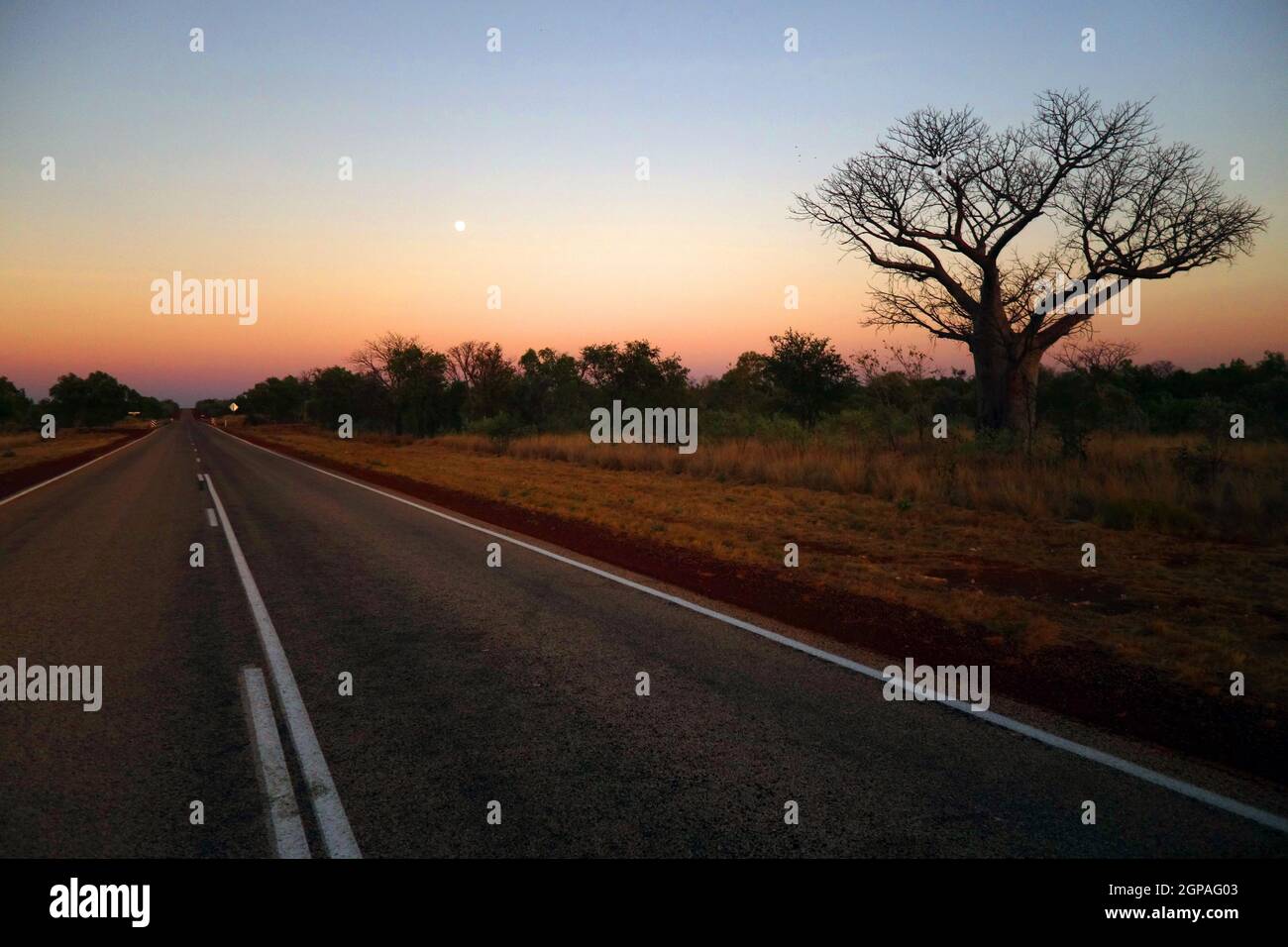 Luna piena, sopra l'autostrada di Kimberley appena prima dell'alba, vicino a Fitzroy Crossing, Australia Occidentale Foto Stock