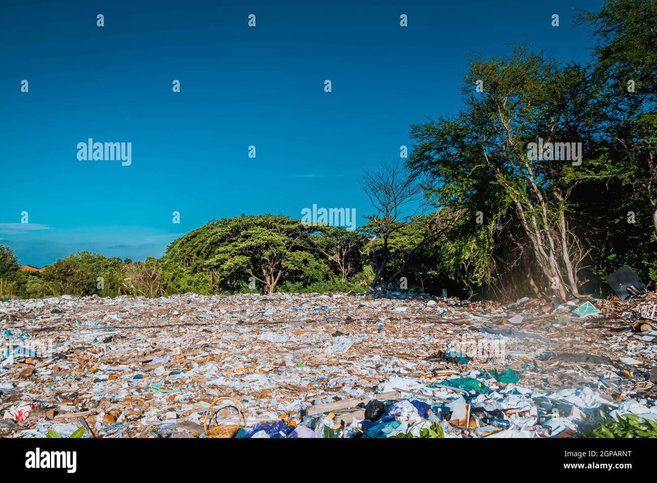 Rifiuti Keeper Terra rifiuti rifiuti rifiuti rifiuti rifiuti rifiuti ambientali. Scarico di rifiuti a terra area di foresta sporca. Foto Stock