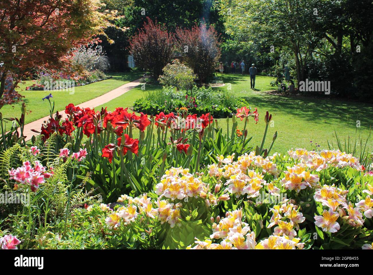 Privato, giardini residenziali in Queensland, Australia. Giardinaggio con Annuali e perenni. Foto Stock
