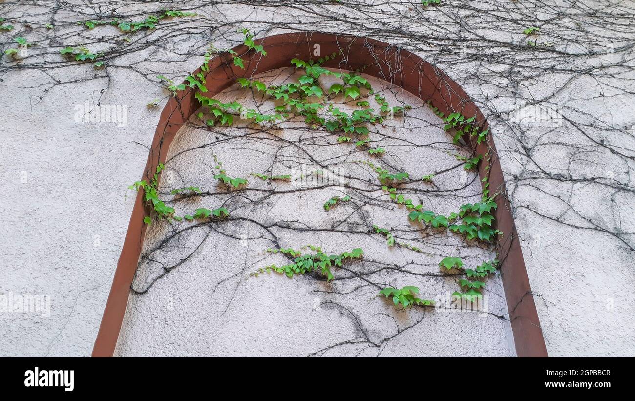 Impianto di arrampicata circondato parete esterna in cemento Foto Stock
