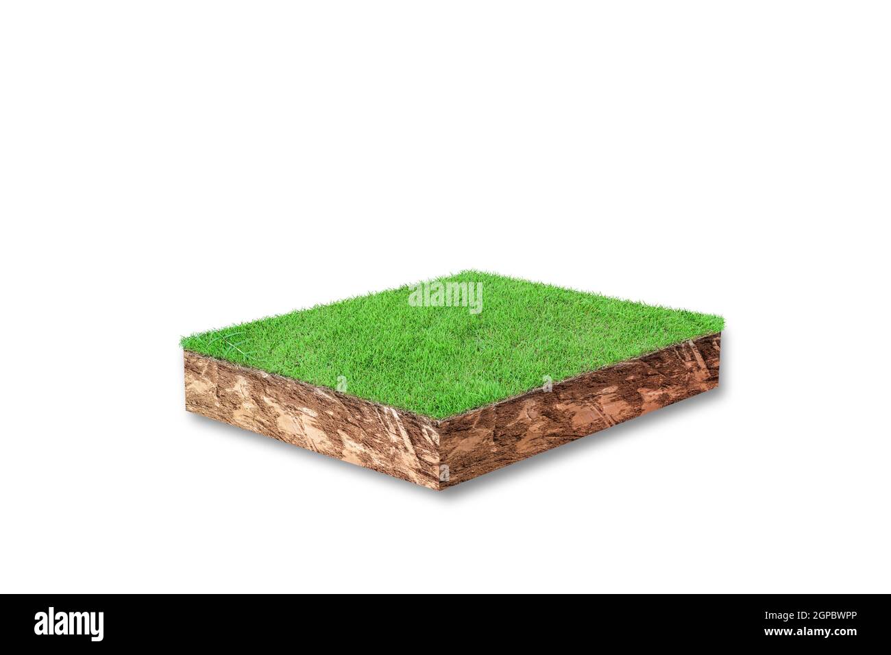 Rendering 3D. Sezione trasversale cubica del terreno con erba verde isolata su sfondo bianco Foto Stock