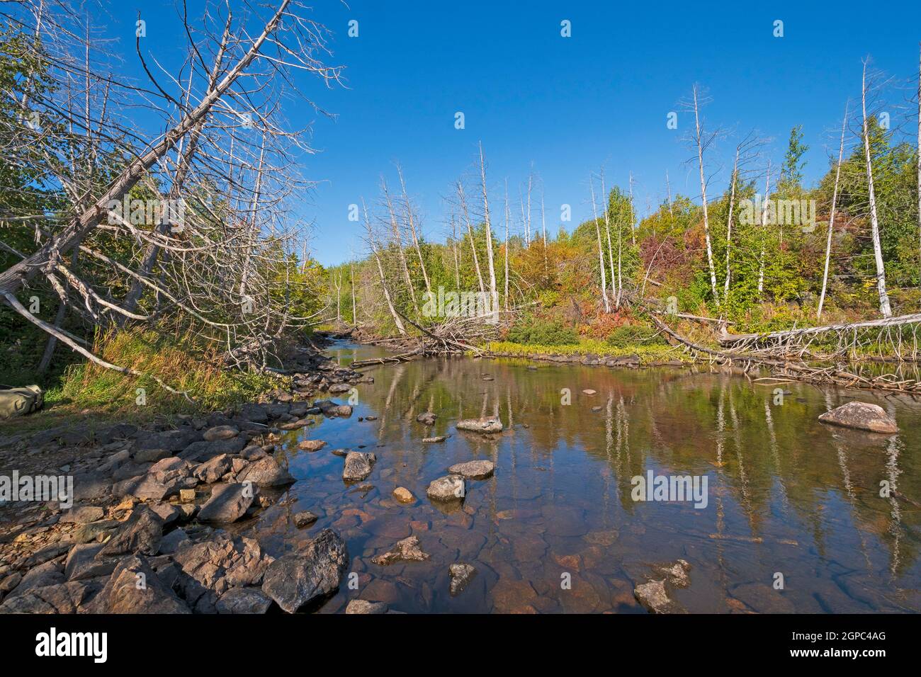 Tranquillo torrente in Canoe Country sul lago Alpine nelle acque Boundary in Minnesota Foto Stock