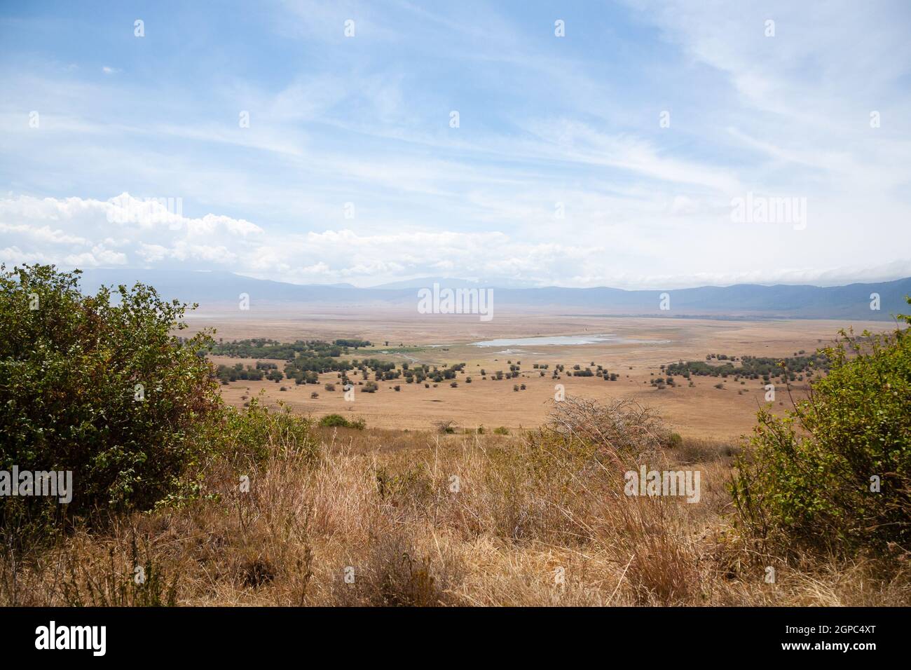 Cratere di Ngorongoro vista aerea, Tanzania Africa. Tanzania paesaggio Foto Stock