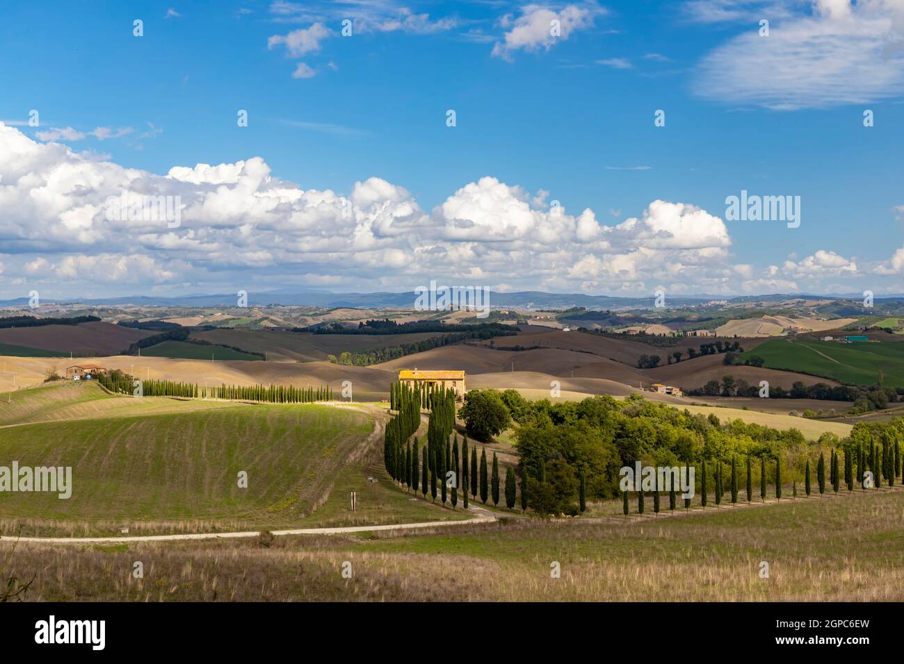 Tipico paesaggio toscano in Val d'orcia, Italiy Foto Stock