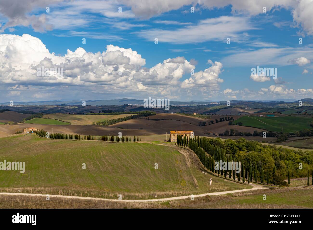 Tipico paesaggio toscano in Val d'orcia, Italiy Foto Stock