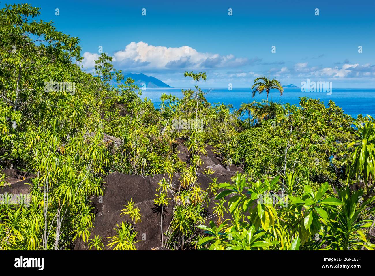 Vista da anse principali sentiero natura oltre la costa nord-ovest dell'isola di Mahe e di roccia di granito ricoperti di vegetazione selvatica in primo piano, Seychel Foto Stock