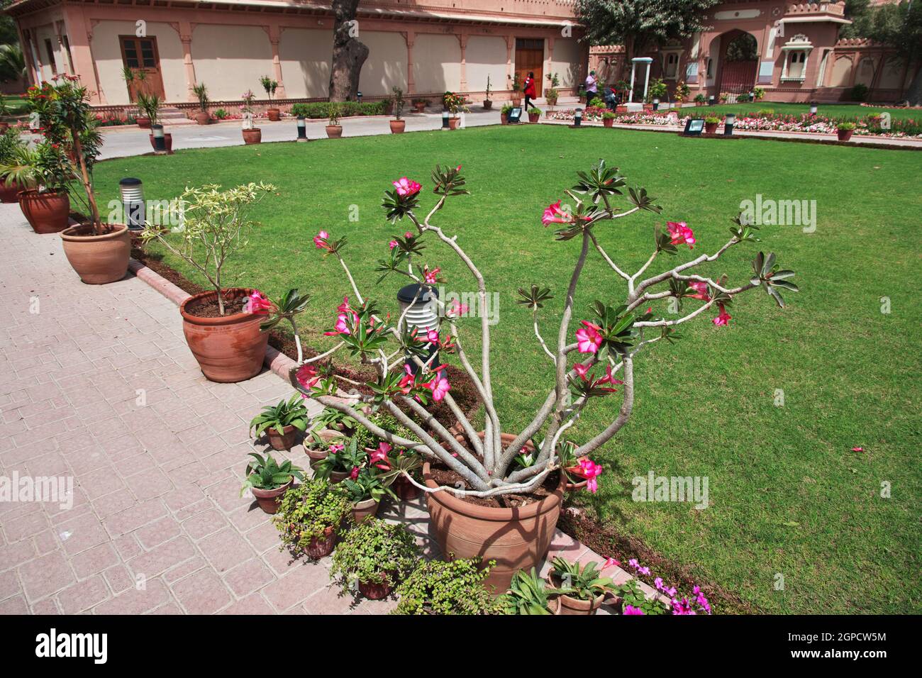 Il giardino del Mohatta Palace Museum a Karachi, Pakistan Foto Stock