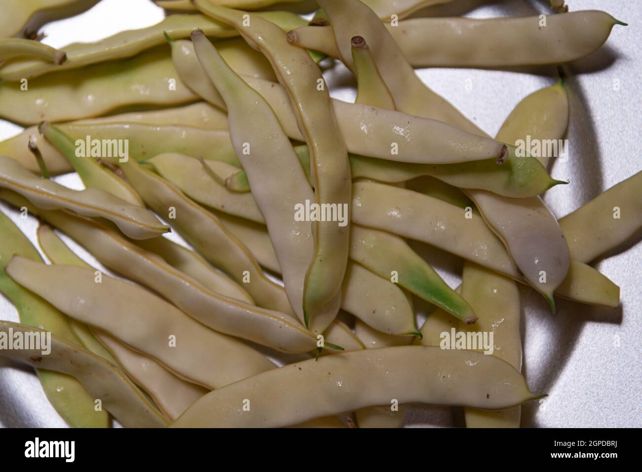 Insalata di verdure di fagioli di cialde. Cialde di Phaseolus vulgaris L.. Alimenti freschi pronti per il consumo umano. Delicatezza culinaria. Cucina brasiliana. Ricco di proteine de Foto Stock