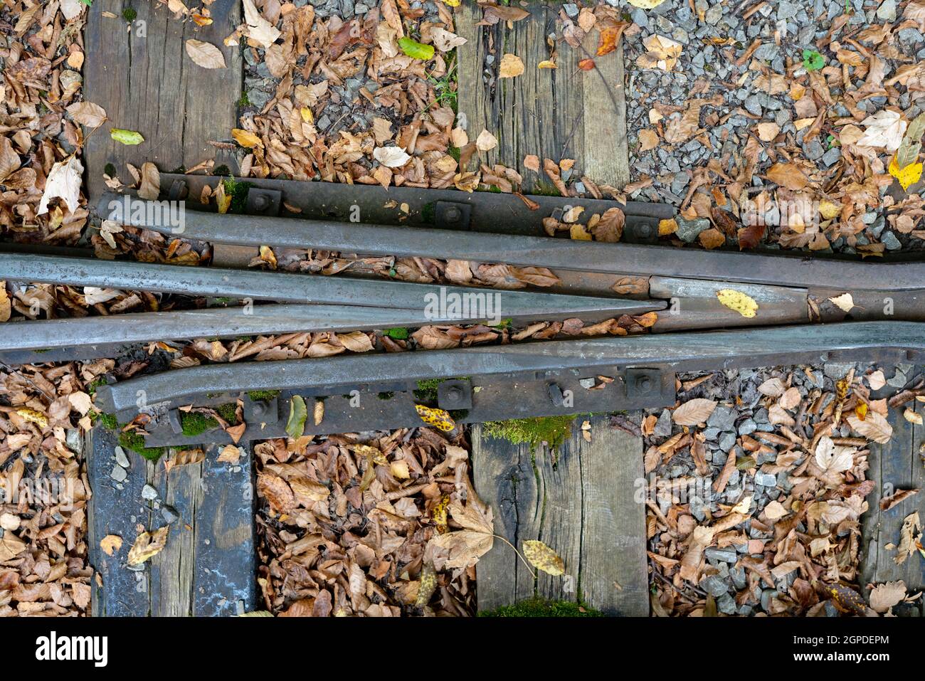 Una rana (V-rail) parte di un interruttore ferroviario su una pista di cava di pietra calcarea a scartamento stretto da 600 mm. Museo all'aperto delle miniere di calcare 'Barbora'. Foto Stock