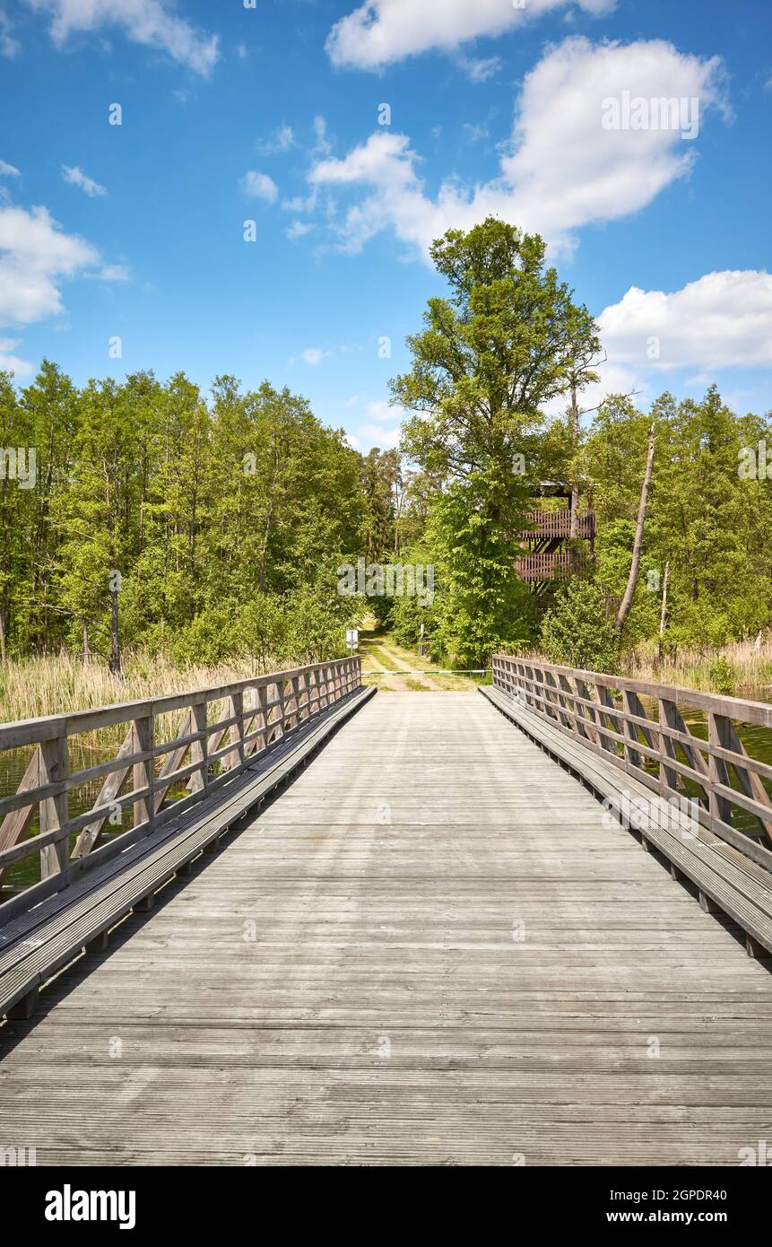 Ponte di legno sul lago Osiek, Polonia. Foto Stock