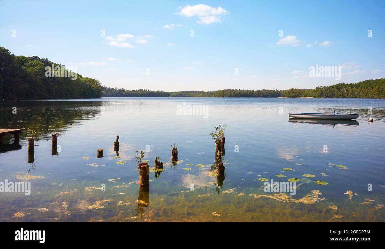 Acqua ancora del lago Lipie in estate, Strzelce Krajenskie, Polonia. Foto Stock