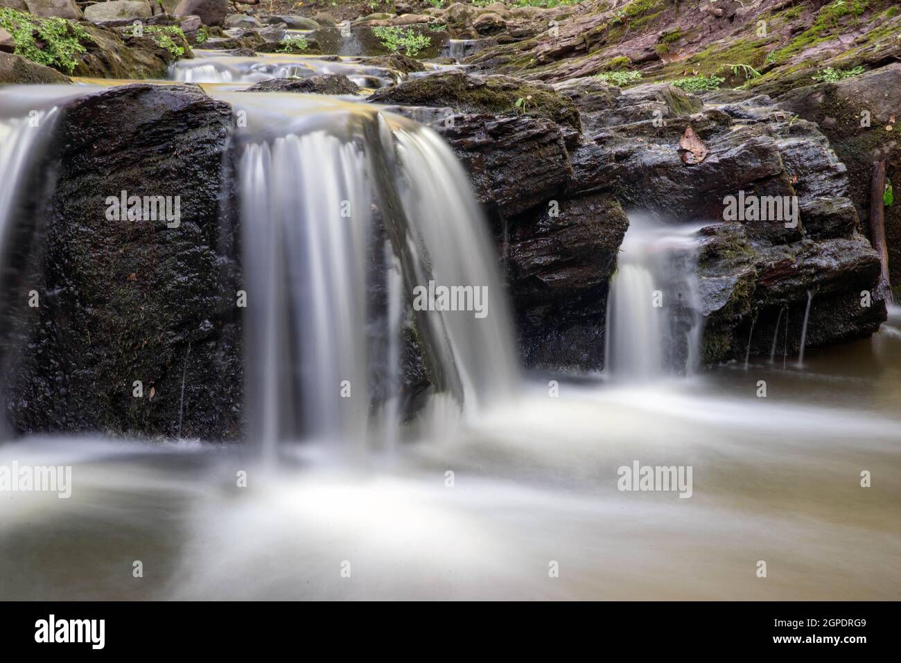 Primo piano lunga esposizione di morbida cascata boschiva che cade sulle rocce Foto Stock