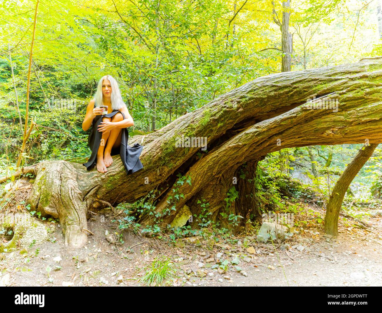 Giovane donna bionda in natura Foto Stock