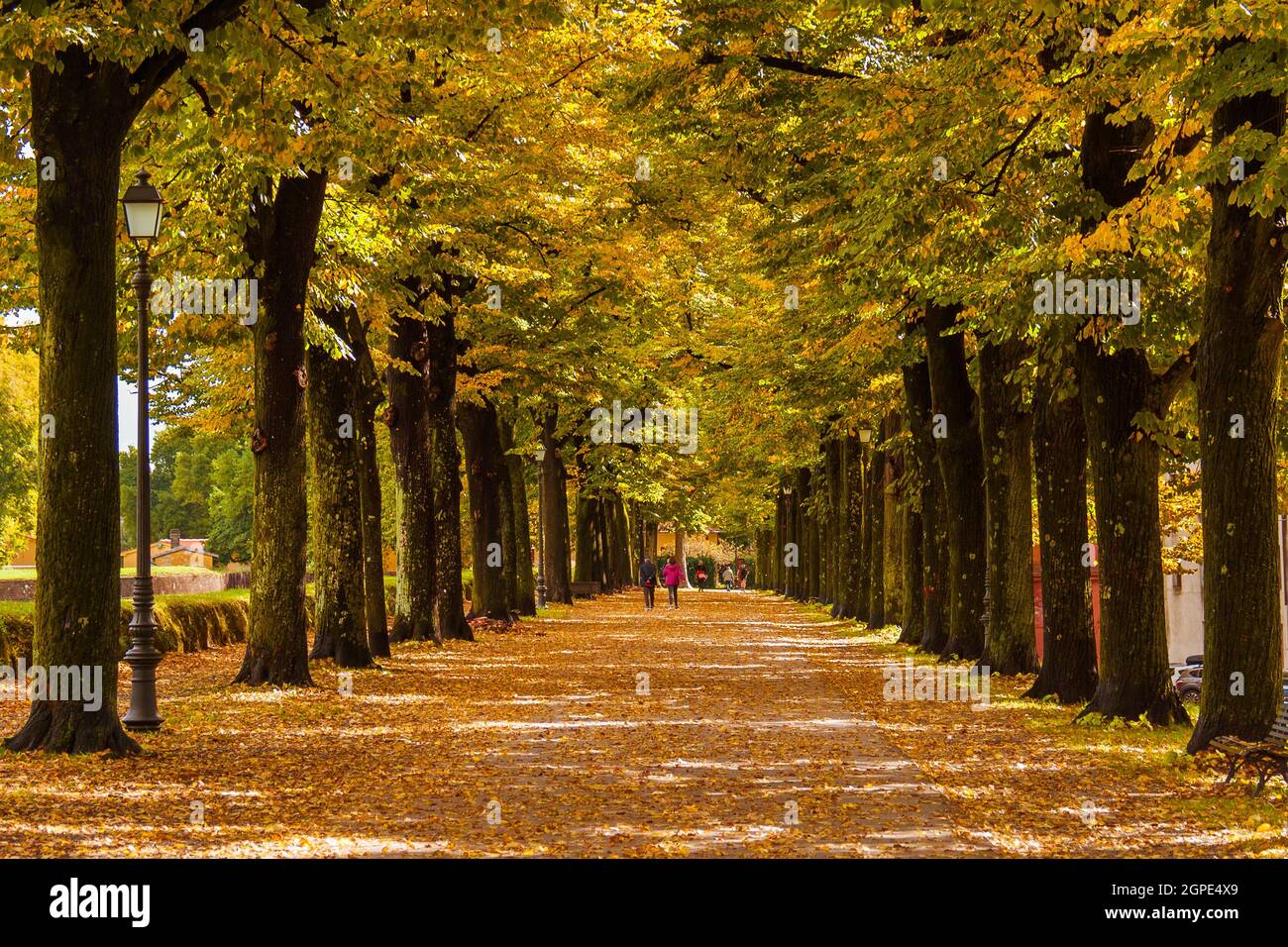 Autunno a Lucca. Vista su antiche mura parco pubblico con foglie autunnali Foto Stock