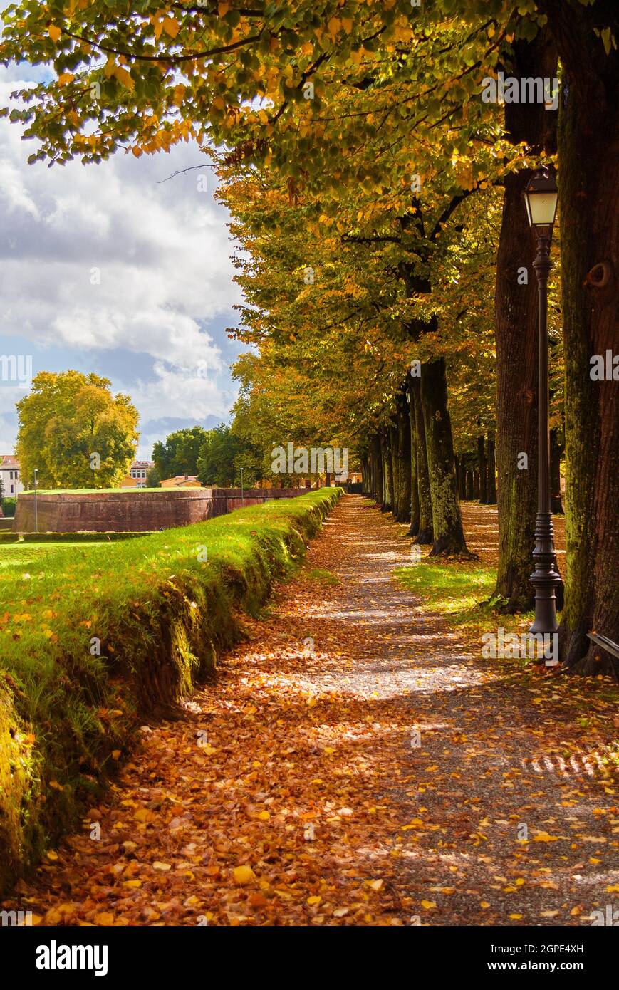 Autunno a Lucca. Vista su antiche mura parco pubblico con foglie autunnali Foto Stock