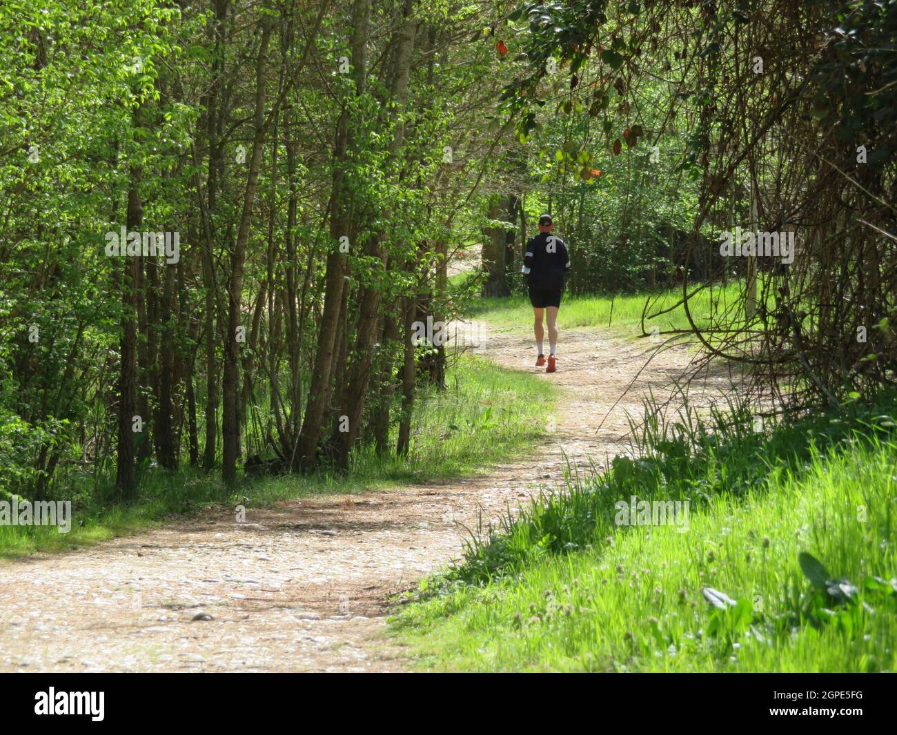 sport carriera esercizio salute soggiorno in forma di foresta Foto Stock