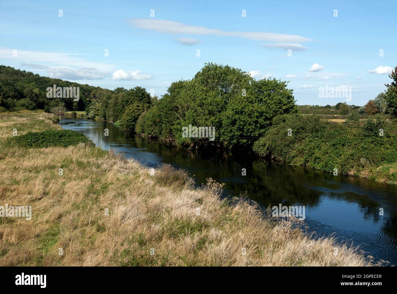 River Tame, Hopwas, Staffordshire, Inghilterra, Regno Unito Foto Stock