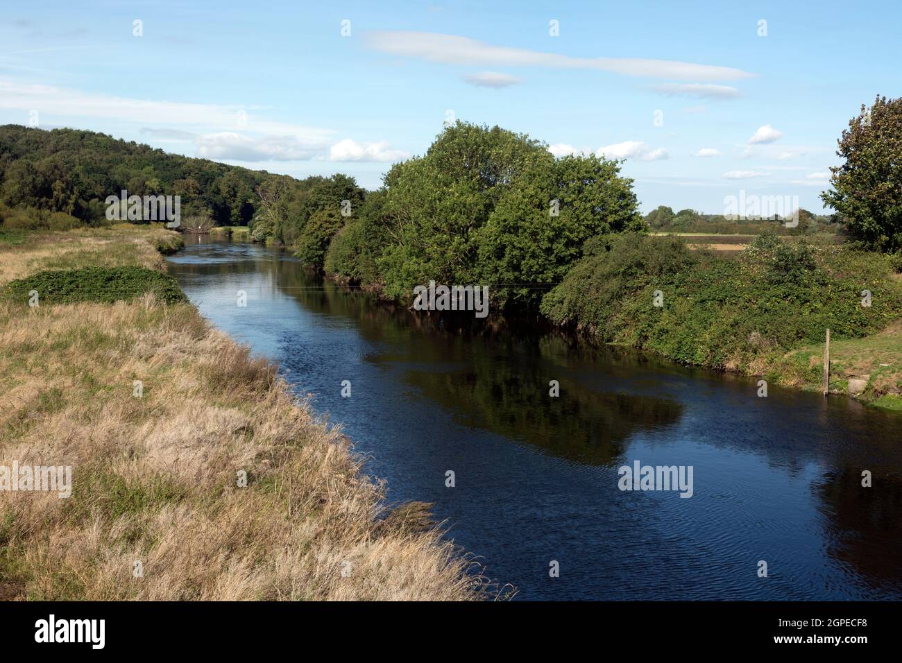 River Tame, Hopwas, Staffordshire, Inghilterra, Regno Unito Foto Stock