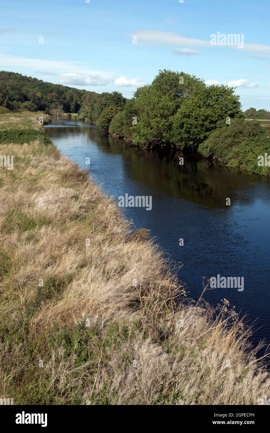 River Tame, Hopwas, Staffordshire, Inghilterra, Regno Unito Foto Stock