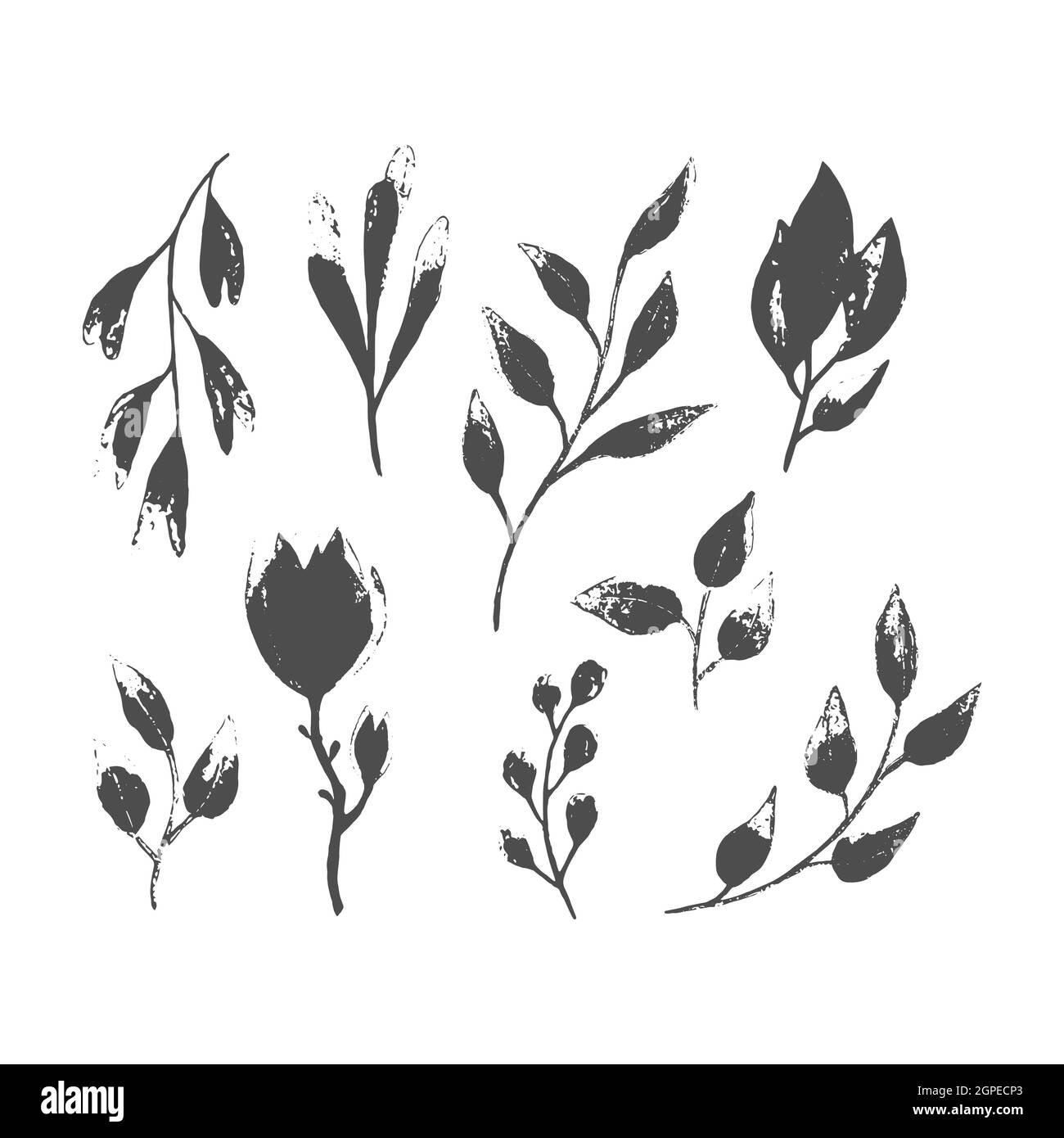 Imposta imprint leaf twig branch graphics disegno a mano. Impronta, timbro, isolato, su sfondo bianco. Illustrazione vettoriale Illustrazione Vettoriale