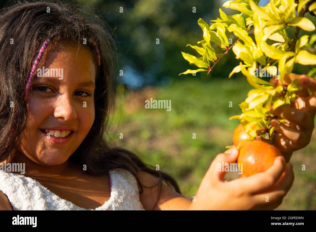 Bella ragazza zingara con lunghi capelli neri e abito bianco con frutta melograna Foto Stock