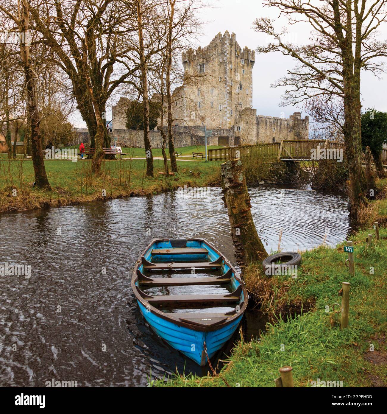 15 ° secolo Ross Castello, vicino a Killarney nel Parco Nazionale di Killarney, County Kerry, Repubblica d'Irlanda. Eire. Questo tipo di struttura è noto come Foto Stock