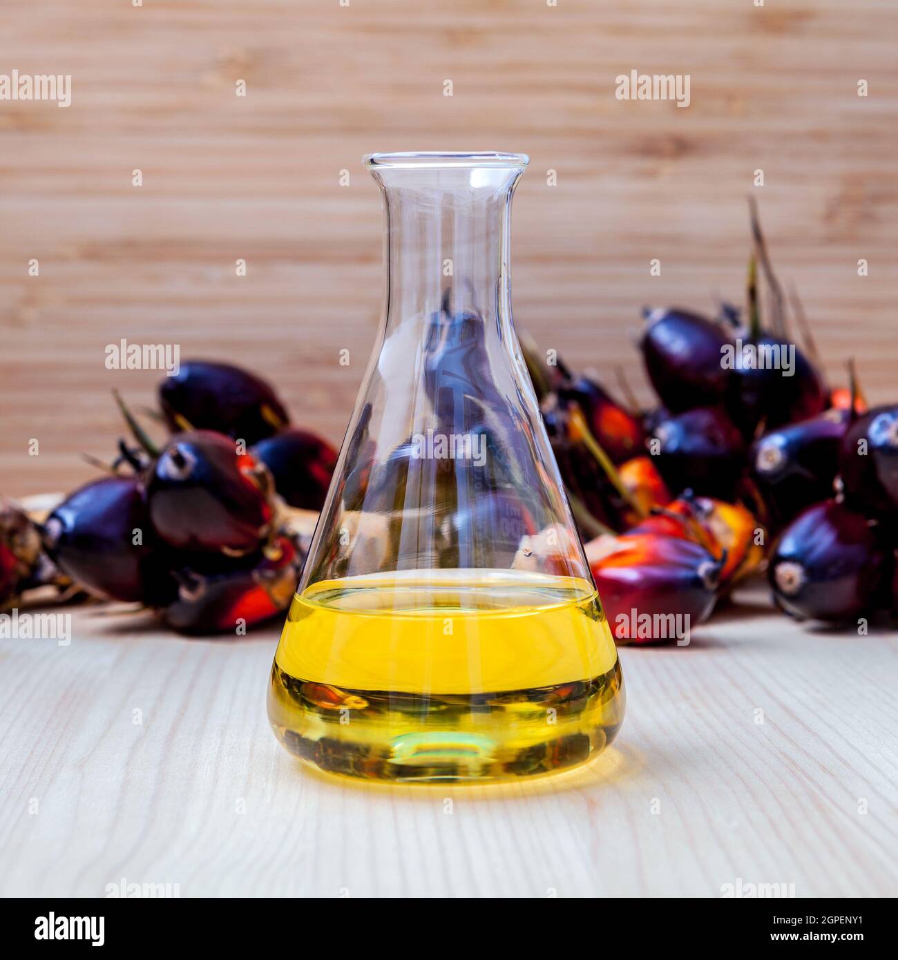 Carburante alternativo , bio diesel nel laboratorio di vetro rosso e frutti di palma impostato su sfondo di legno. Foto Stock