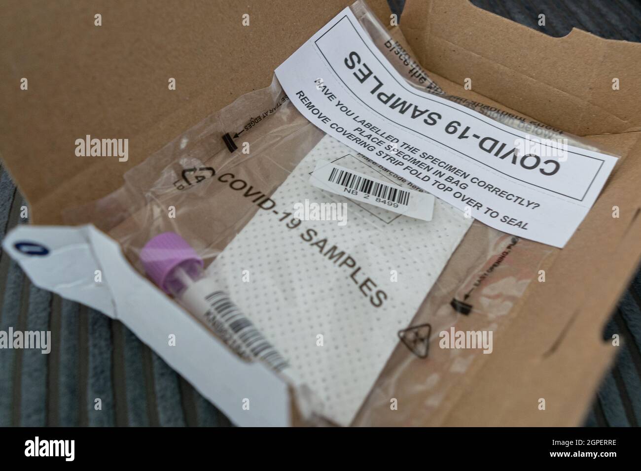 Campioni Covid 19 per Un risultato del test PCR (reazione a catena della polimerasi) che indica se è stato testato positivo o negativo per COVID-19. Foto Stock