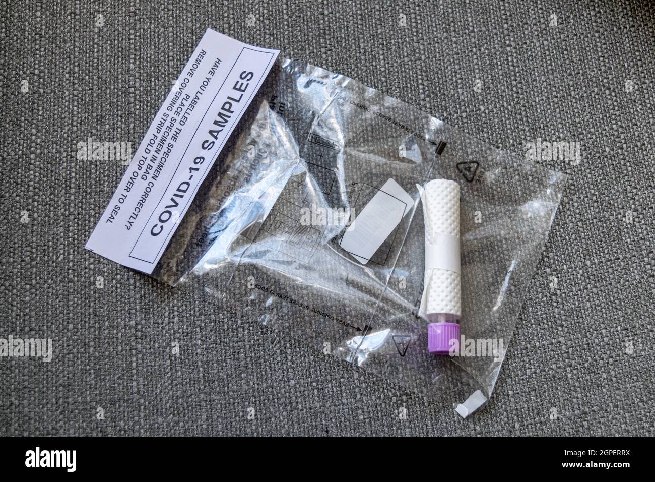 Campioni Covid 19 per Un risultato del test PCR (reazione a catena della polimerasi) che indica se è stato testato positivo o negativo per COVID-19. Foto Stock