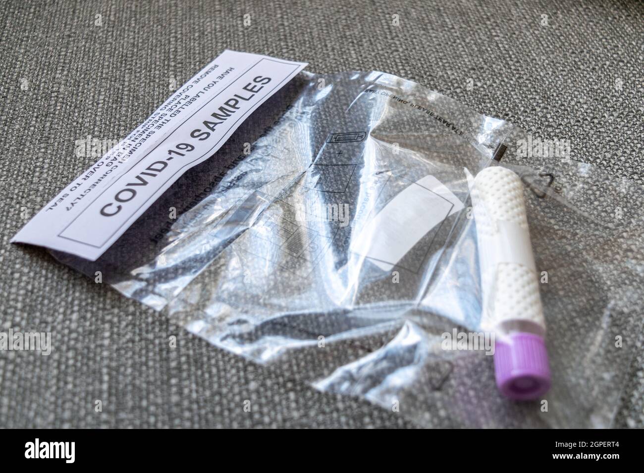 Campioni Covid 19 per Un risultato del test PCR (reazione a catena della polimerasi) che indica se è stato testato positivo o negativo per COVID-19. Foto Stock