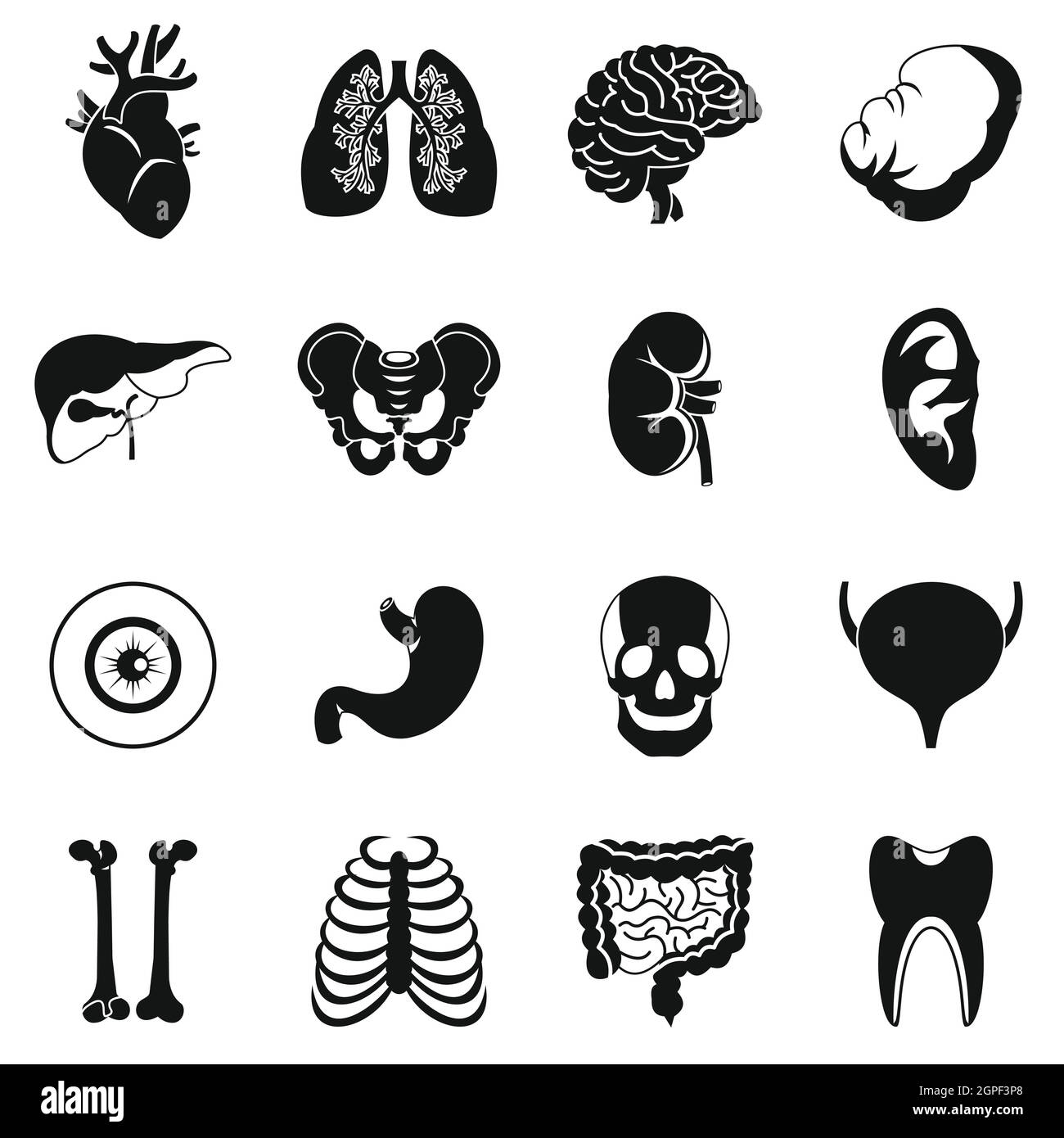 Gli organi umani set di icone, stile semplice Illustrazione Vettoriale