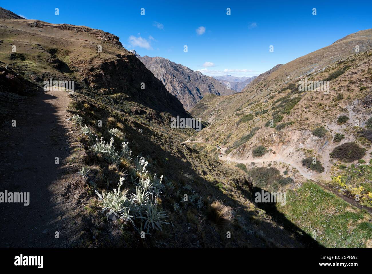 Escursioni lungo la Cordillera Huayhuash, Perù Foto Stock