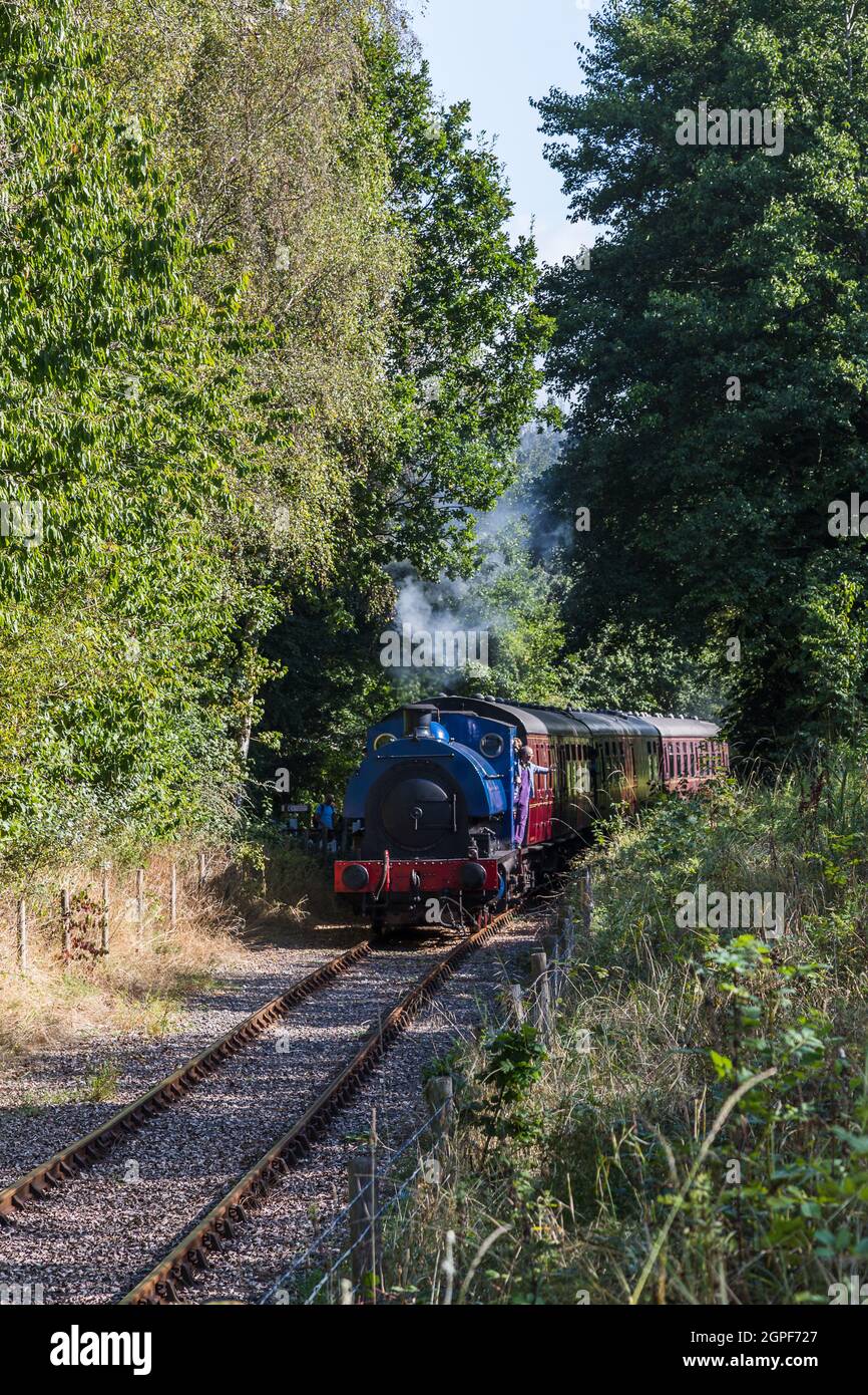 Un piccolo treno a vapore ha visto trasportare i passeggeri sulla Ribble Steam Railway a Preston nel settembre 2021. Foto Stock